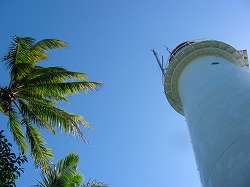 椰子と灯台
